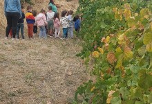 556797585_1284406776815854_3638587503206091810_n