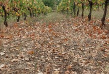 557388156_1284406353482563_2690766747481126823_n