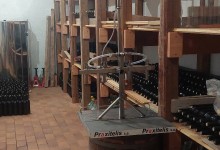 555668919_1284402773482921_223741010712988673_n