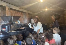 556102185_1284402246816307_8053356790761715685_n