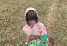 556108628_1284402070149658_6020268888106551231_n