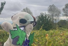 557476898_1284404516816080_544989233551705490_n