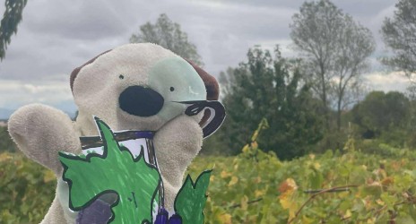 Εκπαιδευτικό Πρόγραμμα στον Αμπελώνα Αμπελλόεις Πα