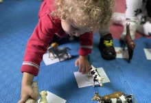 559482772_1288262269763638_8308471627800999951_n